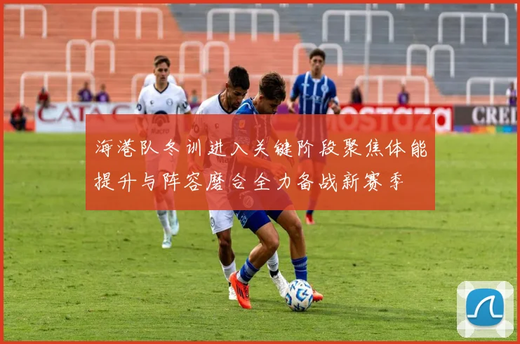 海港队冬训进入关键阶段聚焦体能提升与阵容磨合全力备战新赛季