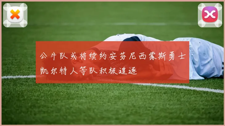 公牛队或将续约安芬尼西蒙斯勇士凯尔特人等队积极追逐